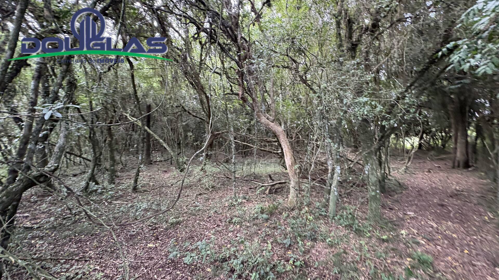 Terreno, 900 m² - Foto 10