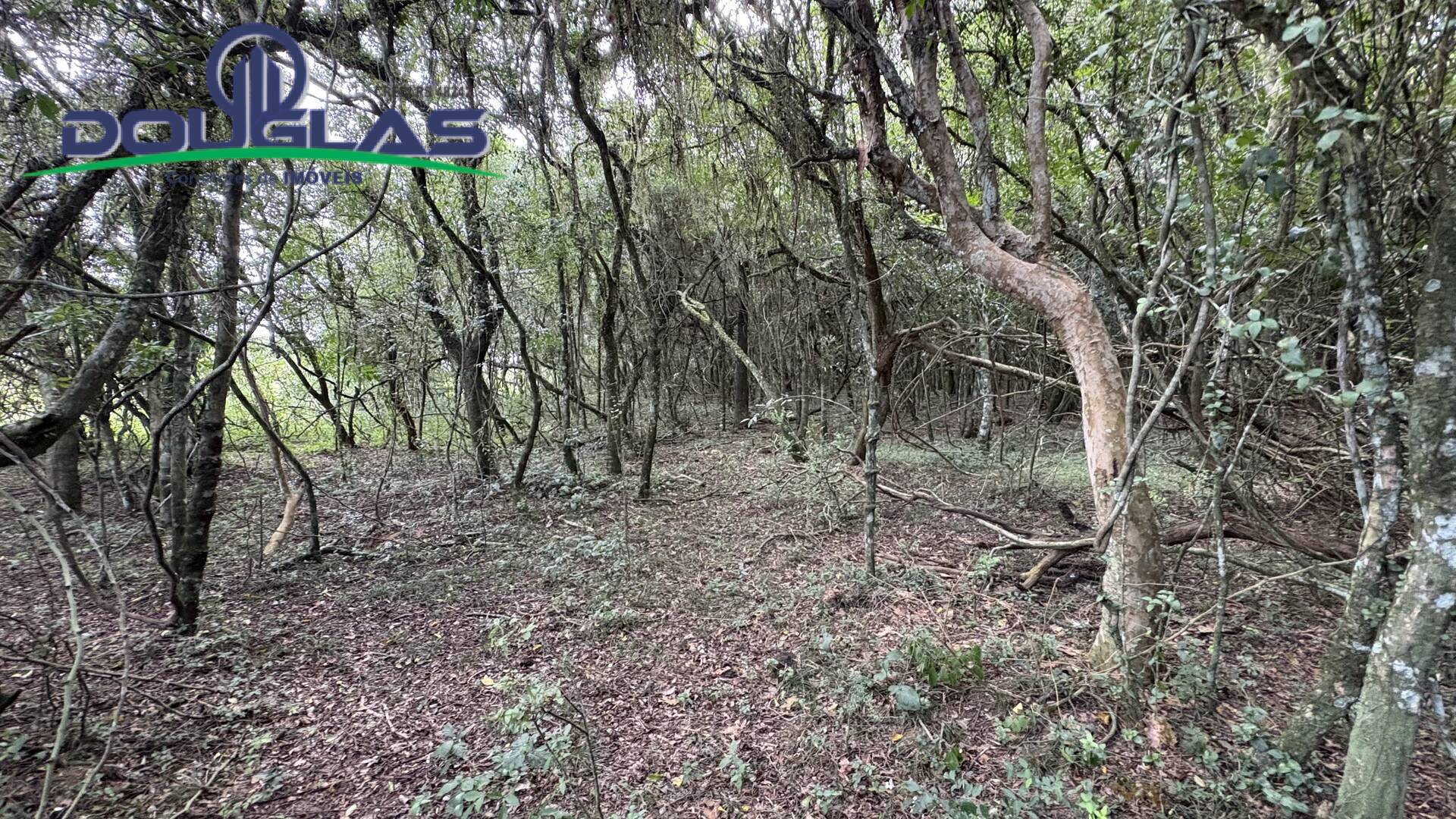 Terreno, 900 m² - Foto 11