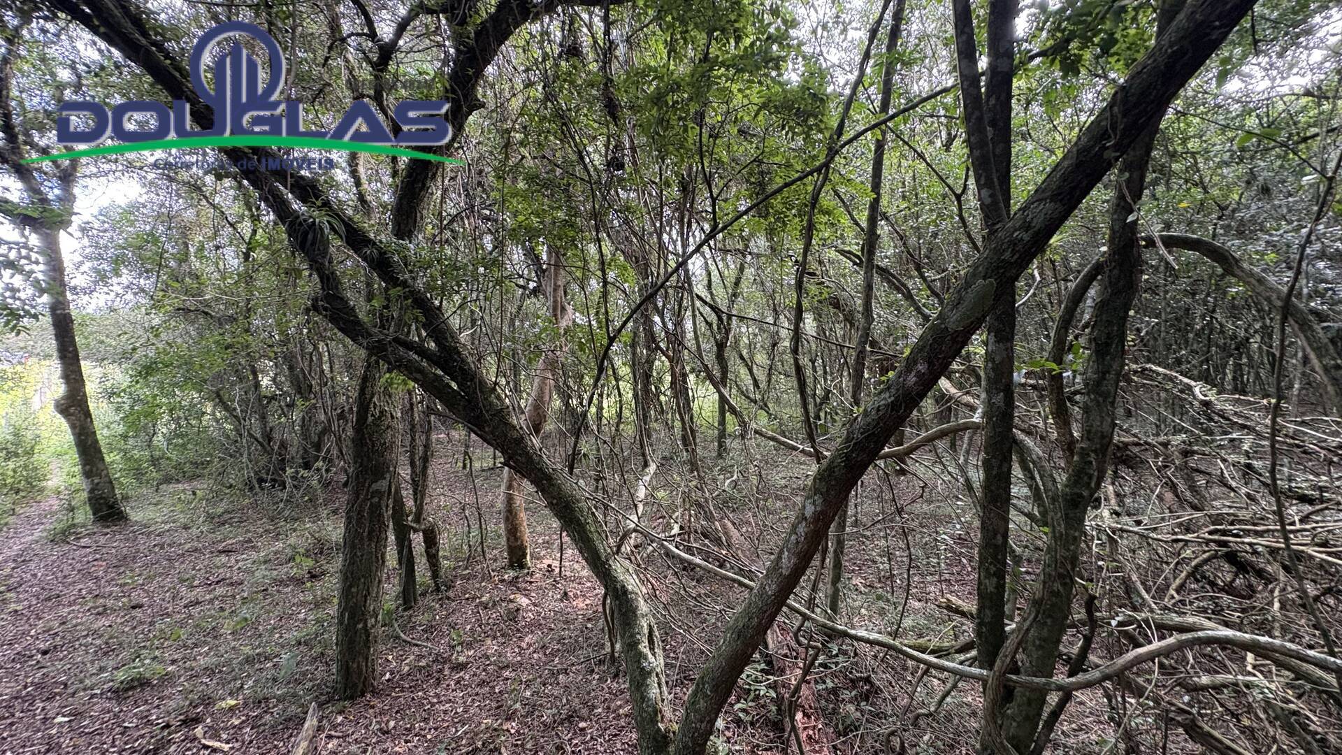 Terreno, 900 m² - Foto 12