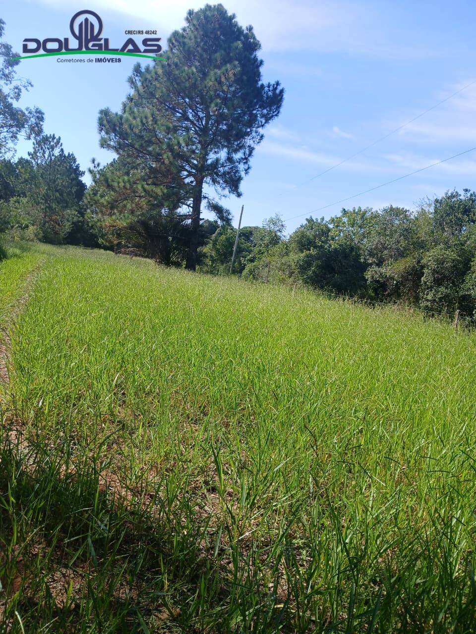 Terreno, 1 m² - Foto 4