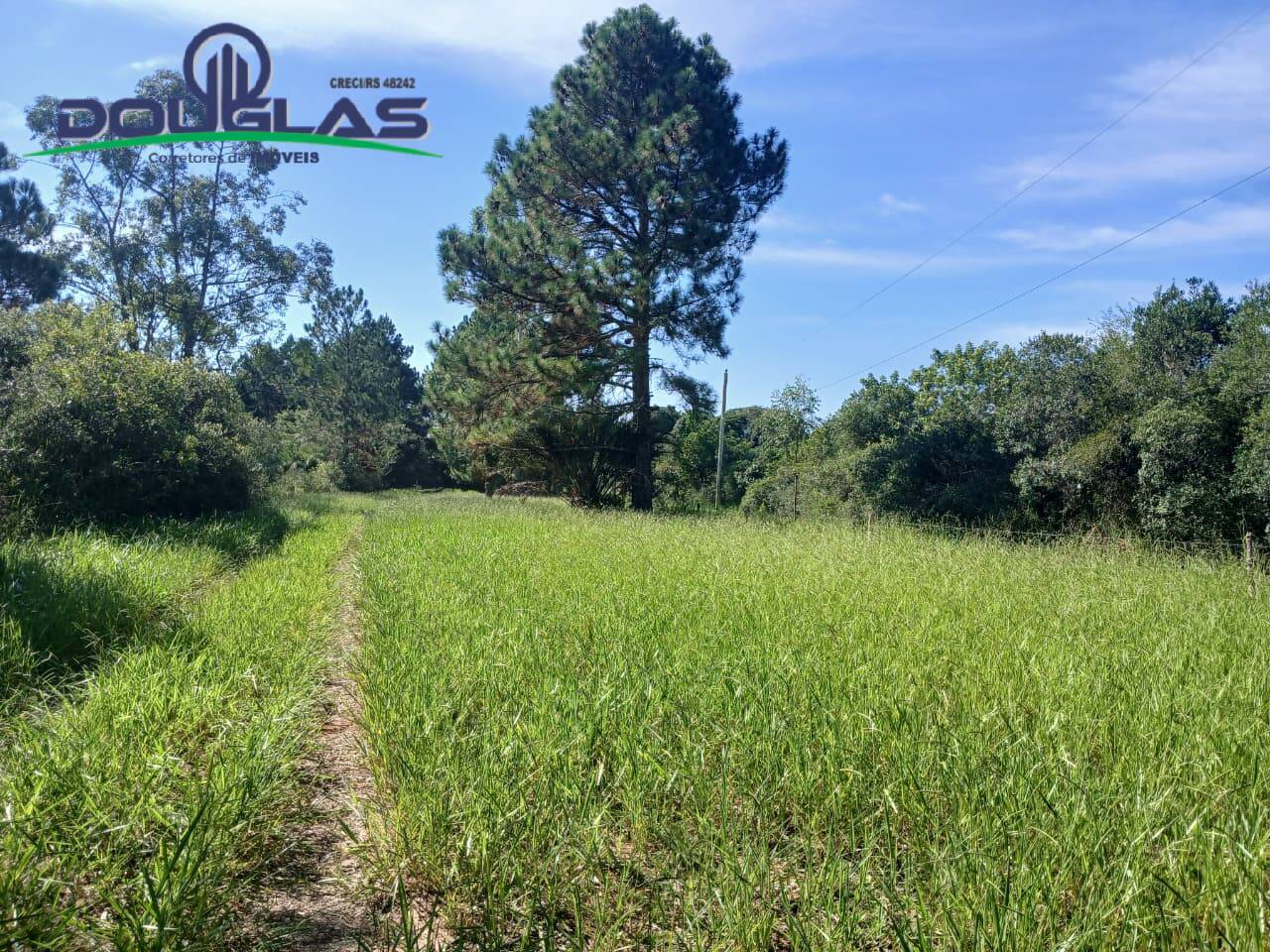 Terreno, 1 m² - Foto 6