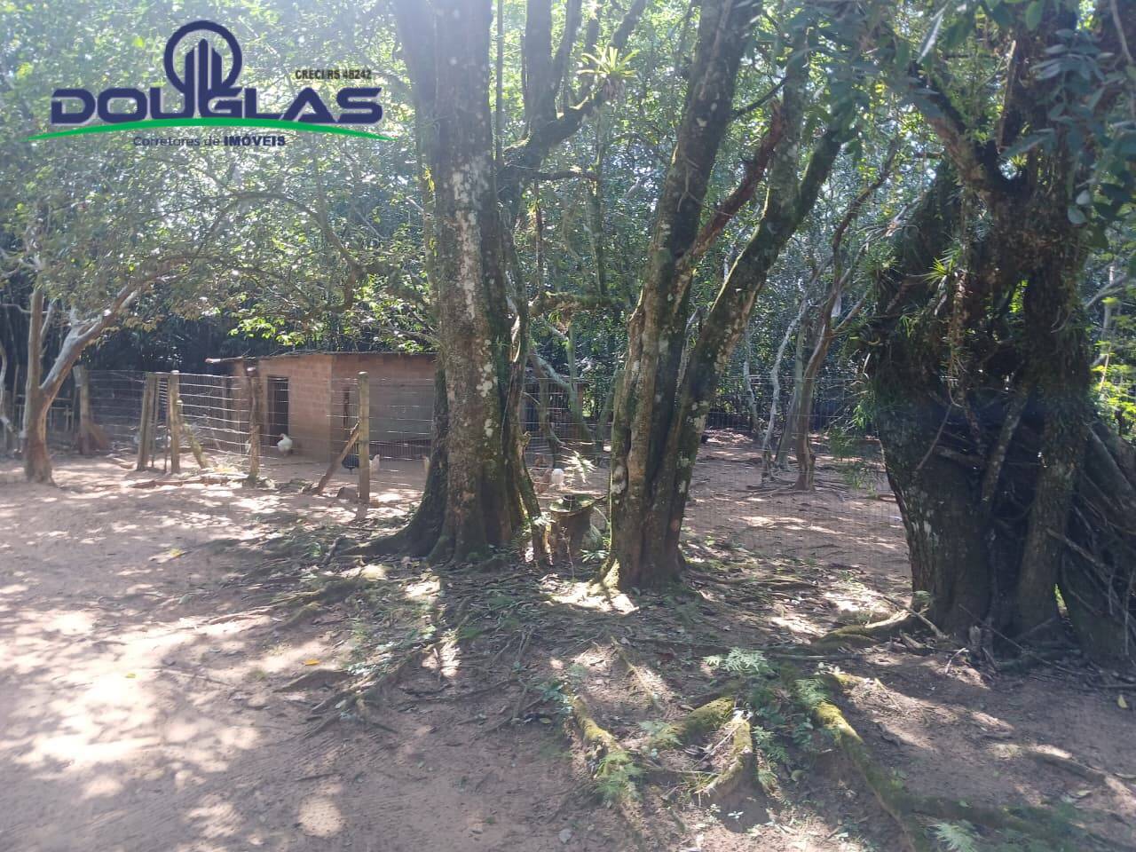 Terreno, 1 m² - Foto 12