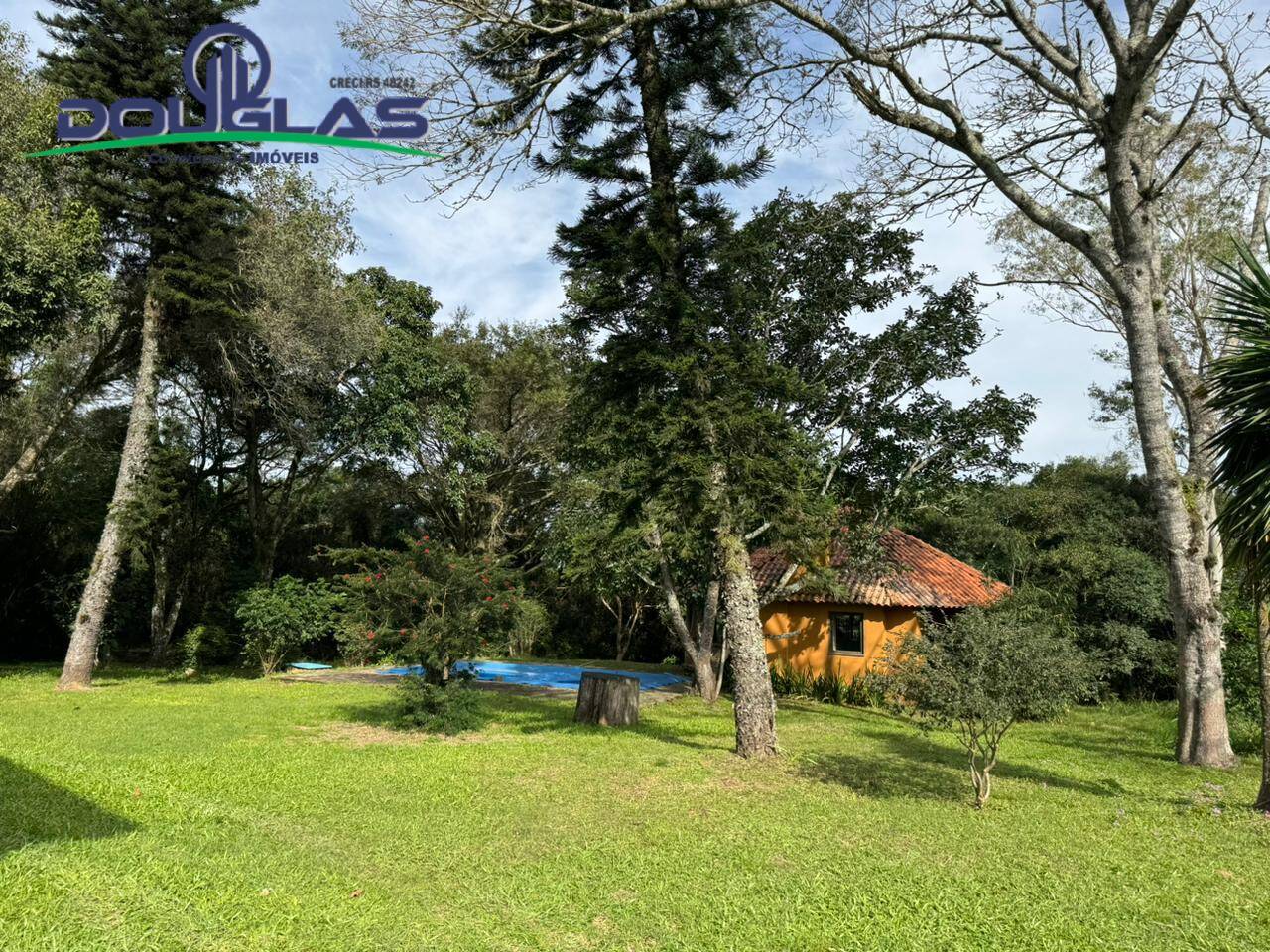 Sítio, 3 quartos, 4 m² - Foto 2