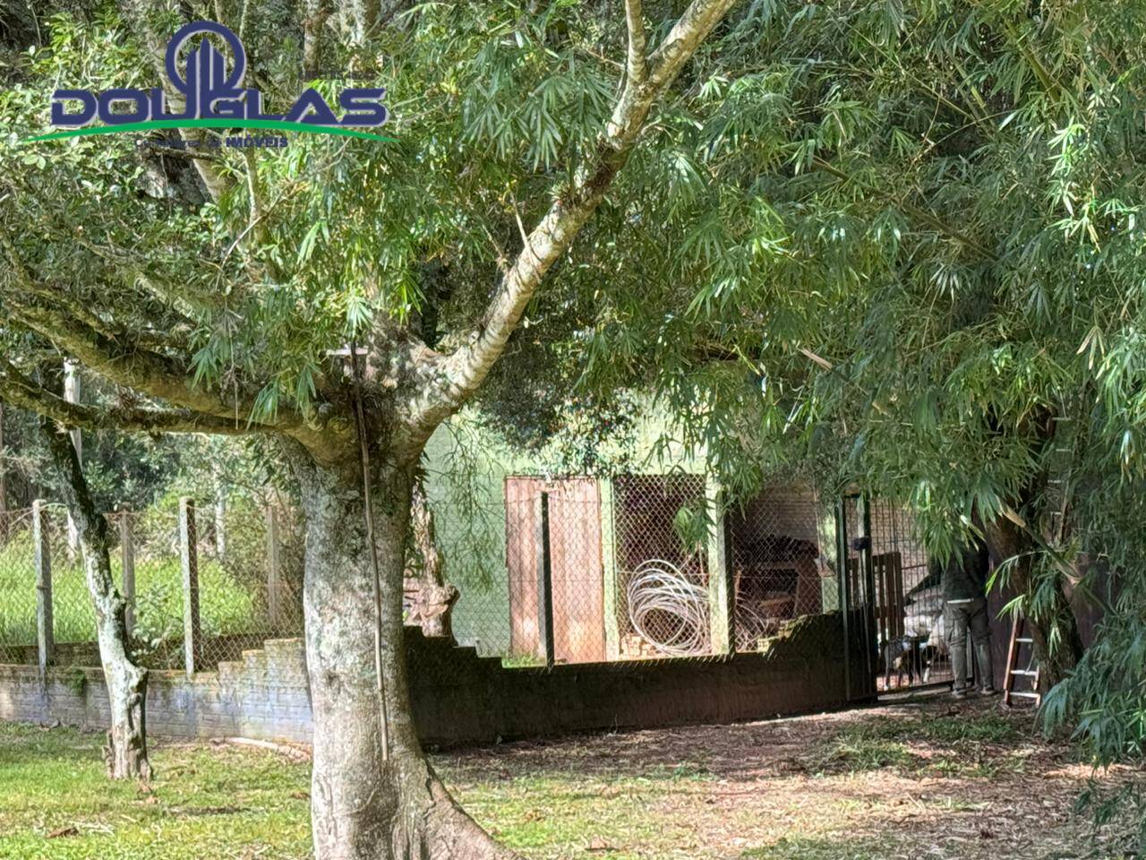 Sítio, 3 quartos, 4 m² - Foto 14