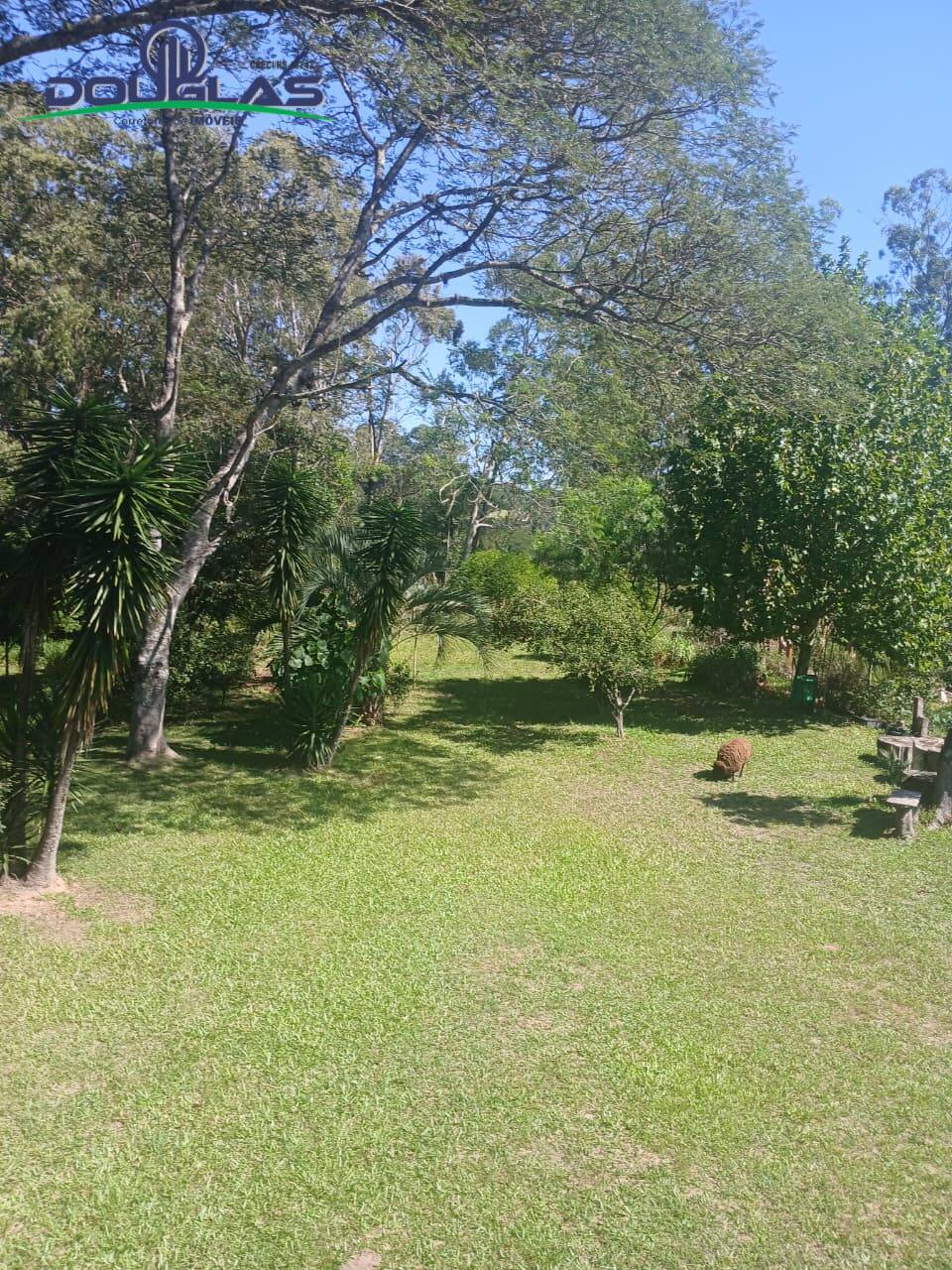 Sítio, 3 quartos, 4 m² - Foto 44