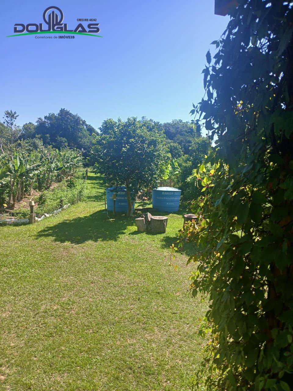 Sítio, 3 quartos, 4 m² - Foto 48