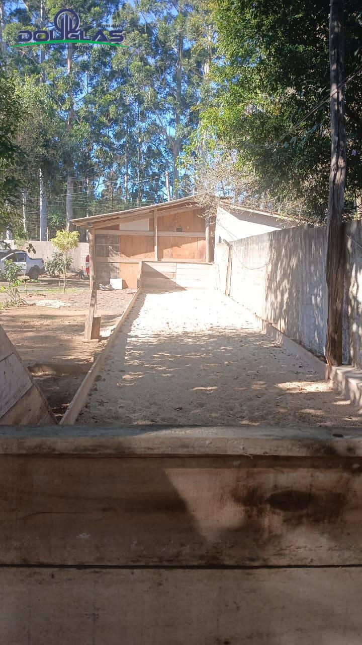 Casa, 4 quartos - Foto 47