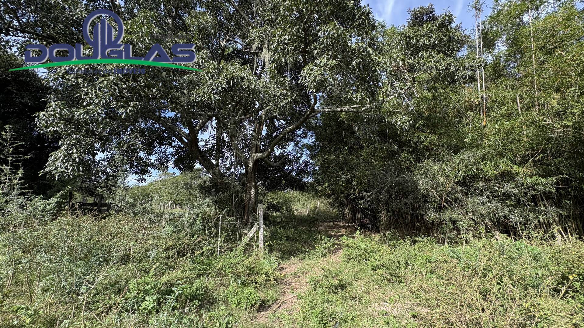 Casa - Foto 21