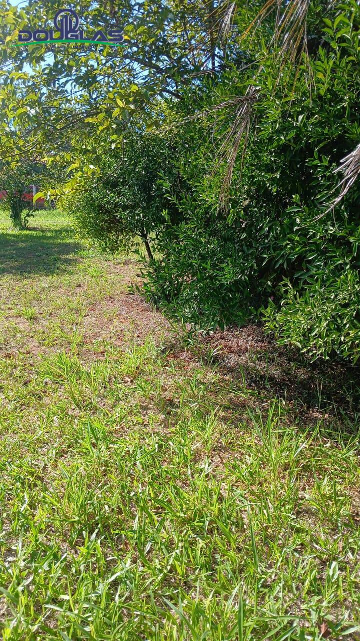 Terreno, 450 m² - Foto 3