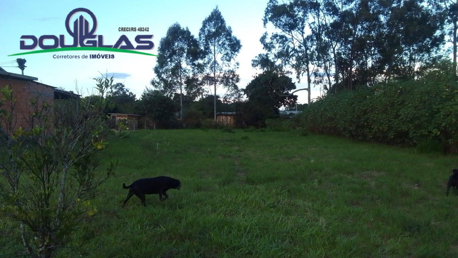 Terreno, 1000 m² - Foto 4