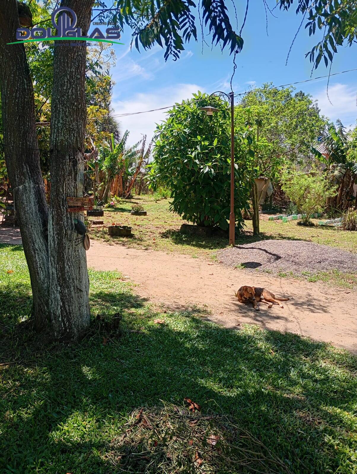 Sítio, 1 quarto, 1024 m² - Foto 14