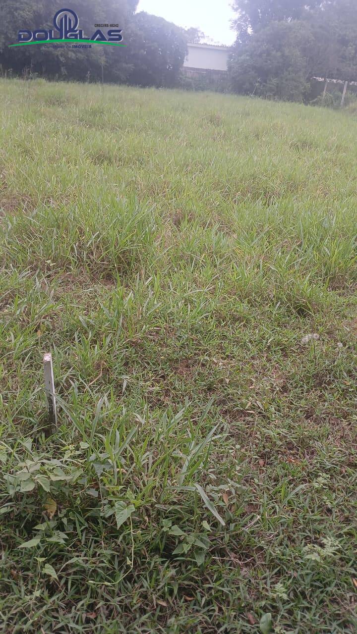 Terreno - Foto 2
