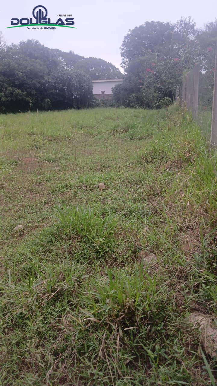Terreno - Foto 3