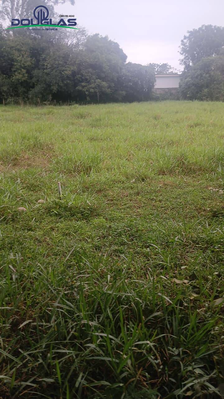 Terreno - Foto 4