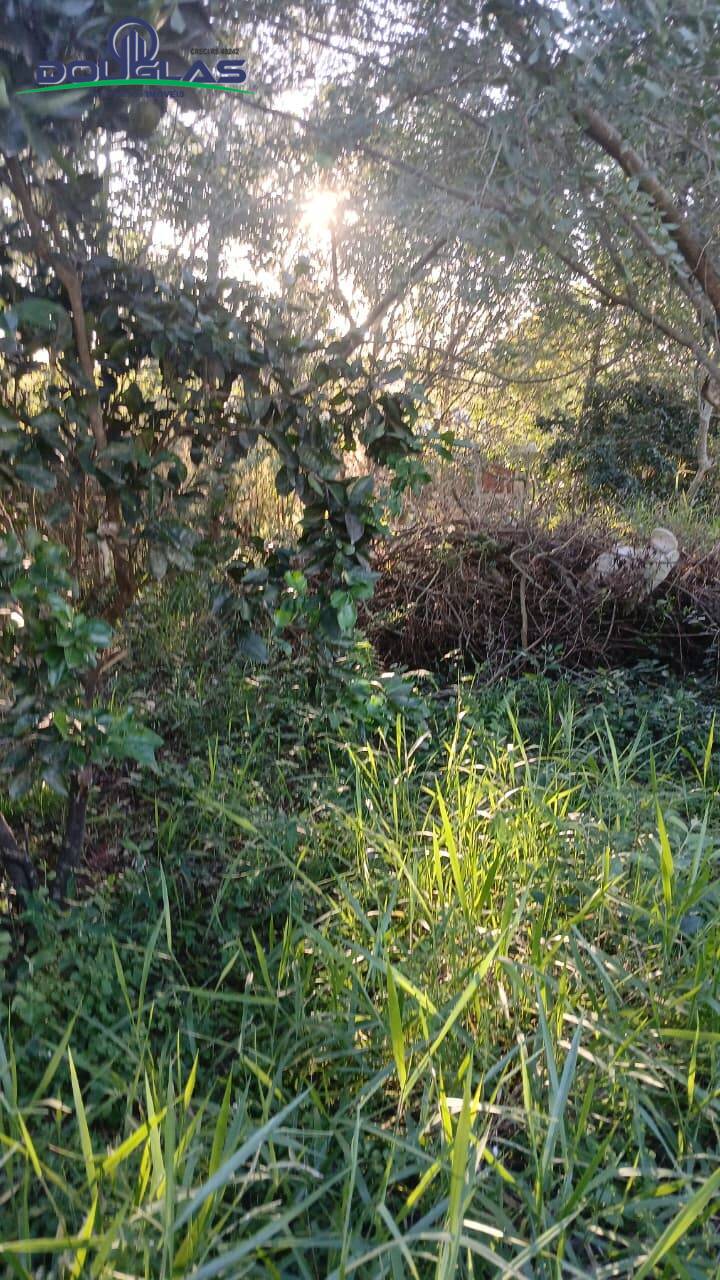 Terreno, 480 m² - Foto 4