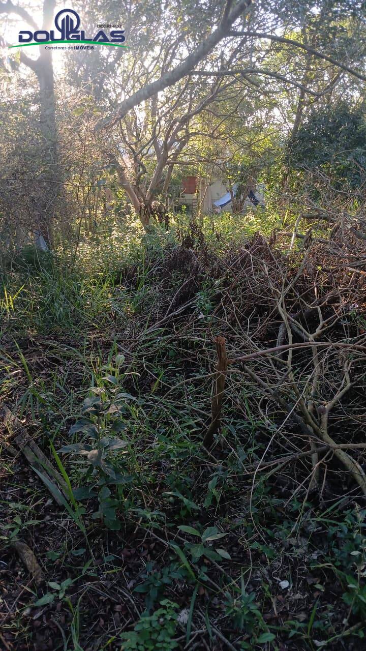Terreno, 600 m² - Foto 3