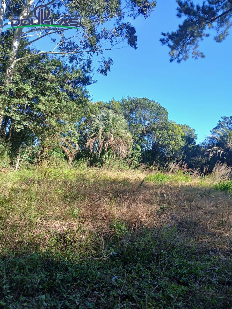 Terreno, 800 m² - Foto 1