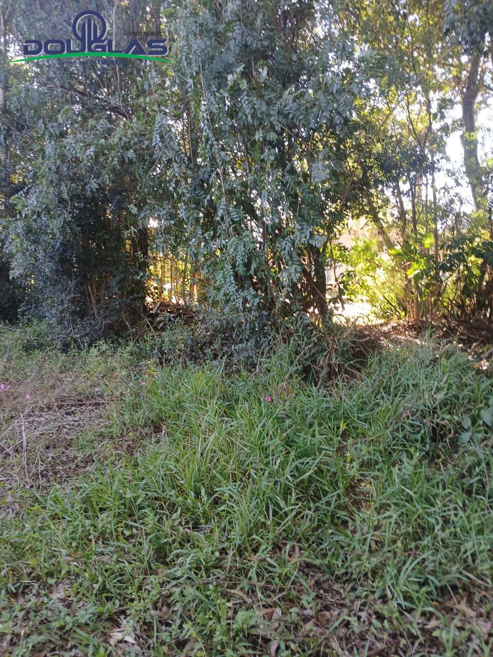 Terreno, 800 m² - Foto 3