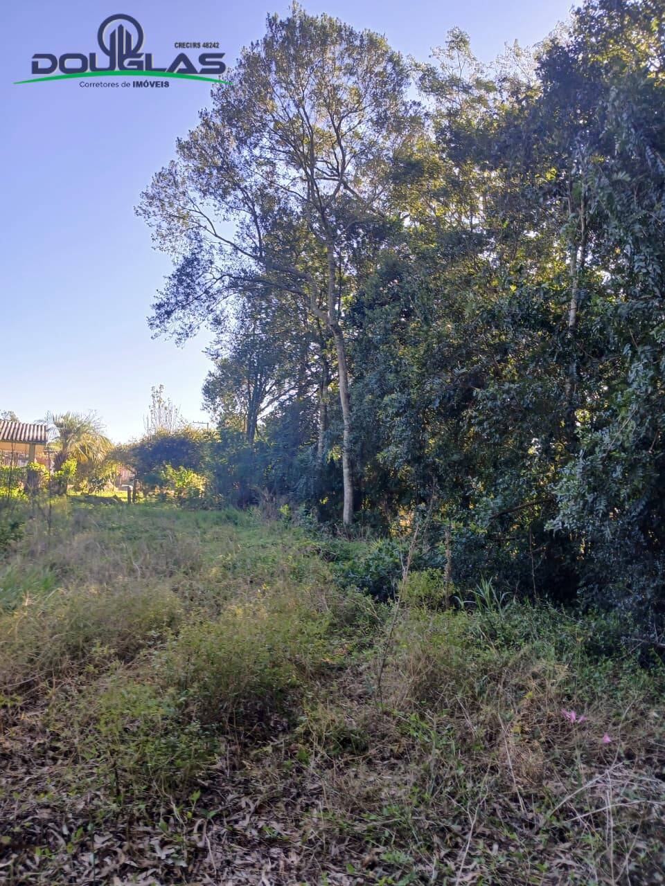 Terreno, 800 m² - Foto 5