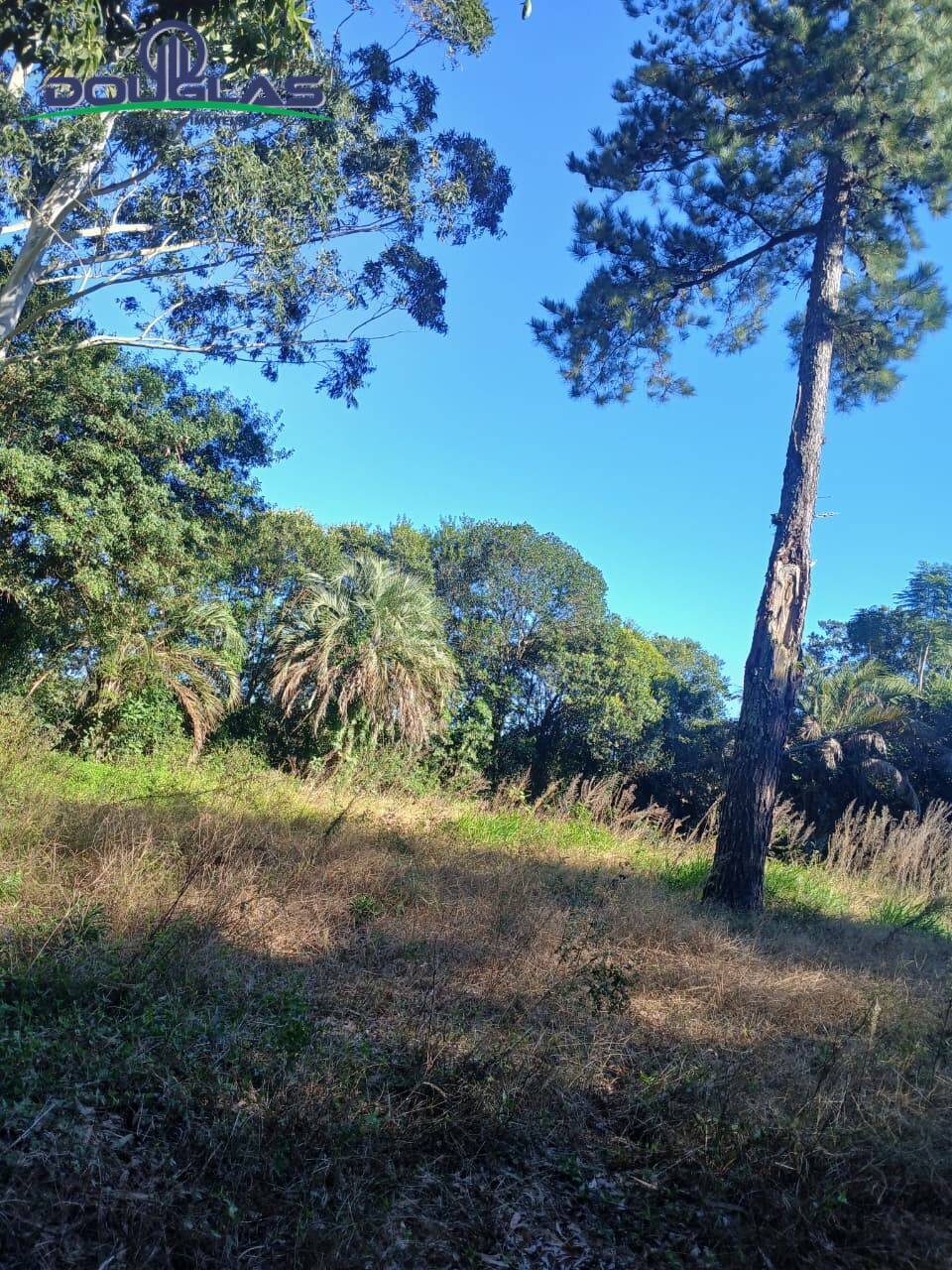 Terreno, 800 m² - Foto 6