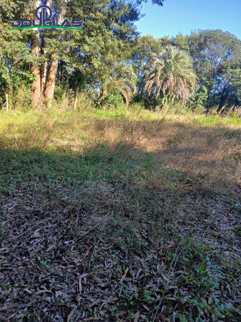Terreno, 800 m² - Foto 7