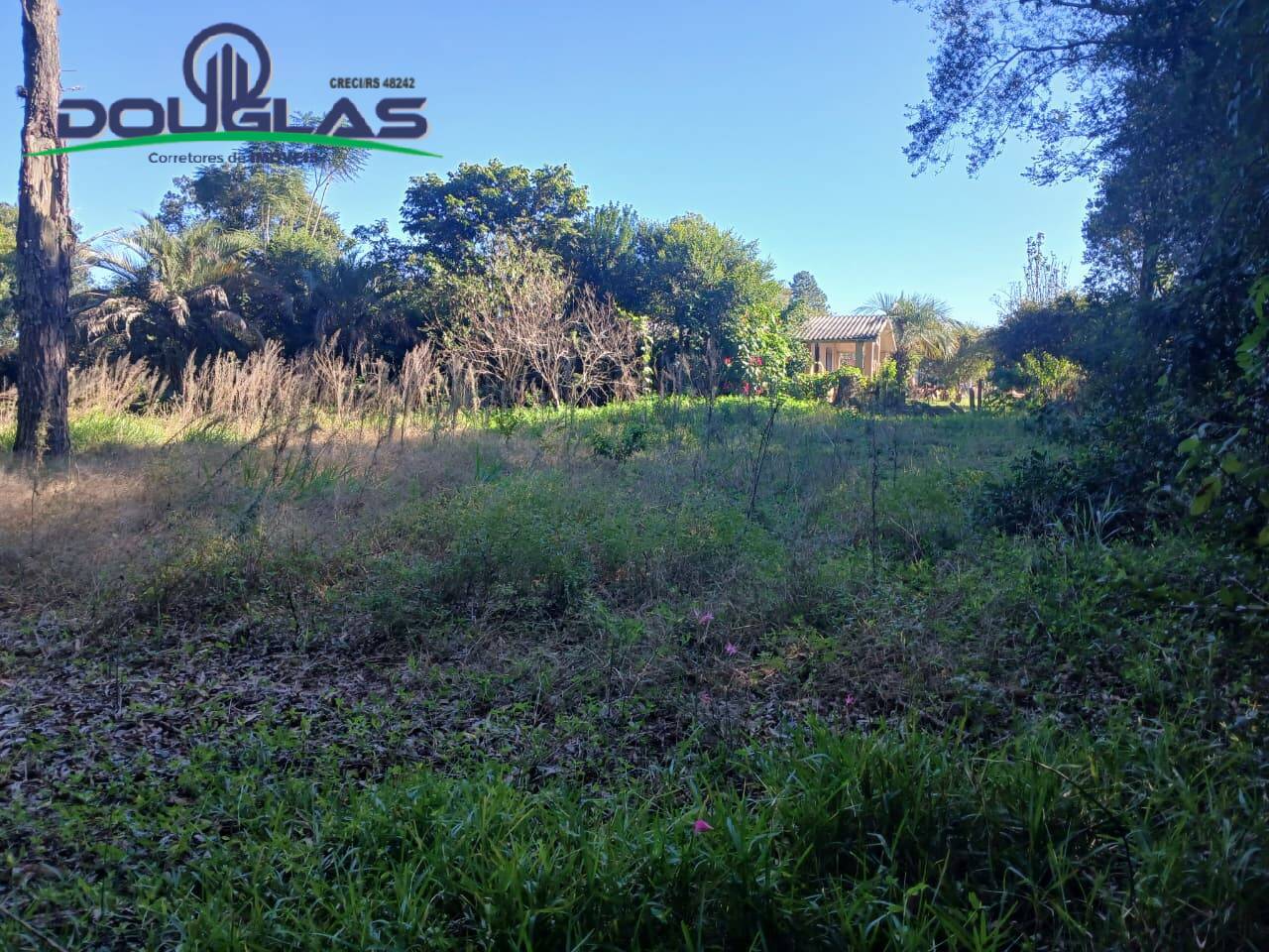 Terreno, 800 m² - Foto 8