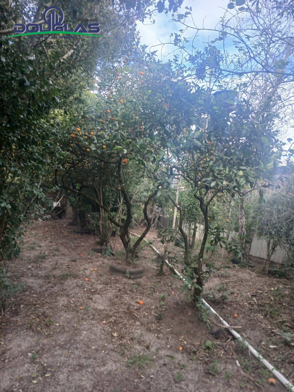 Terreno - Foto 11