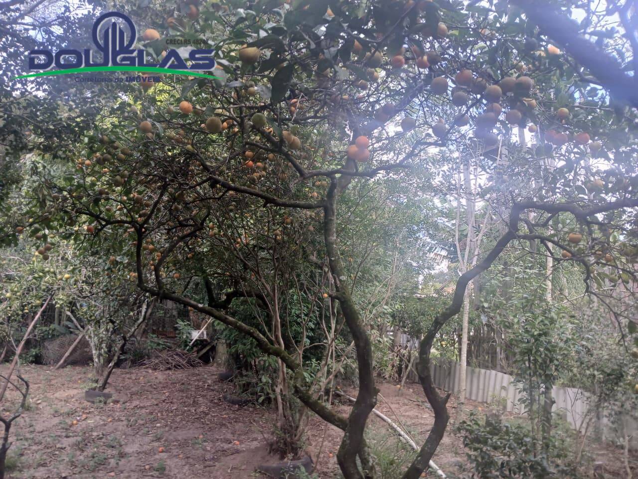 Terreno - Foto 12