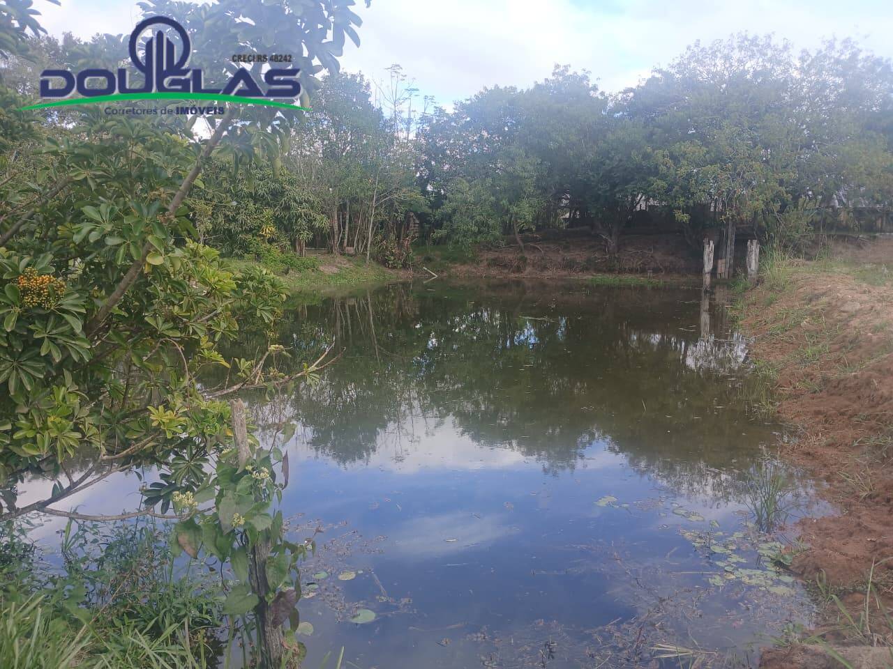 Terreno - Foto 2