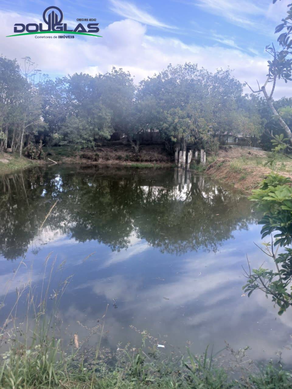Terreno - Foto 7