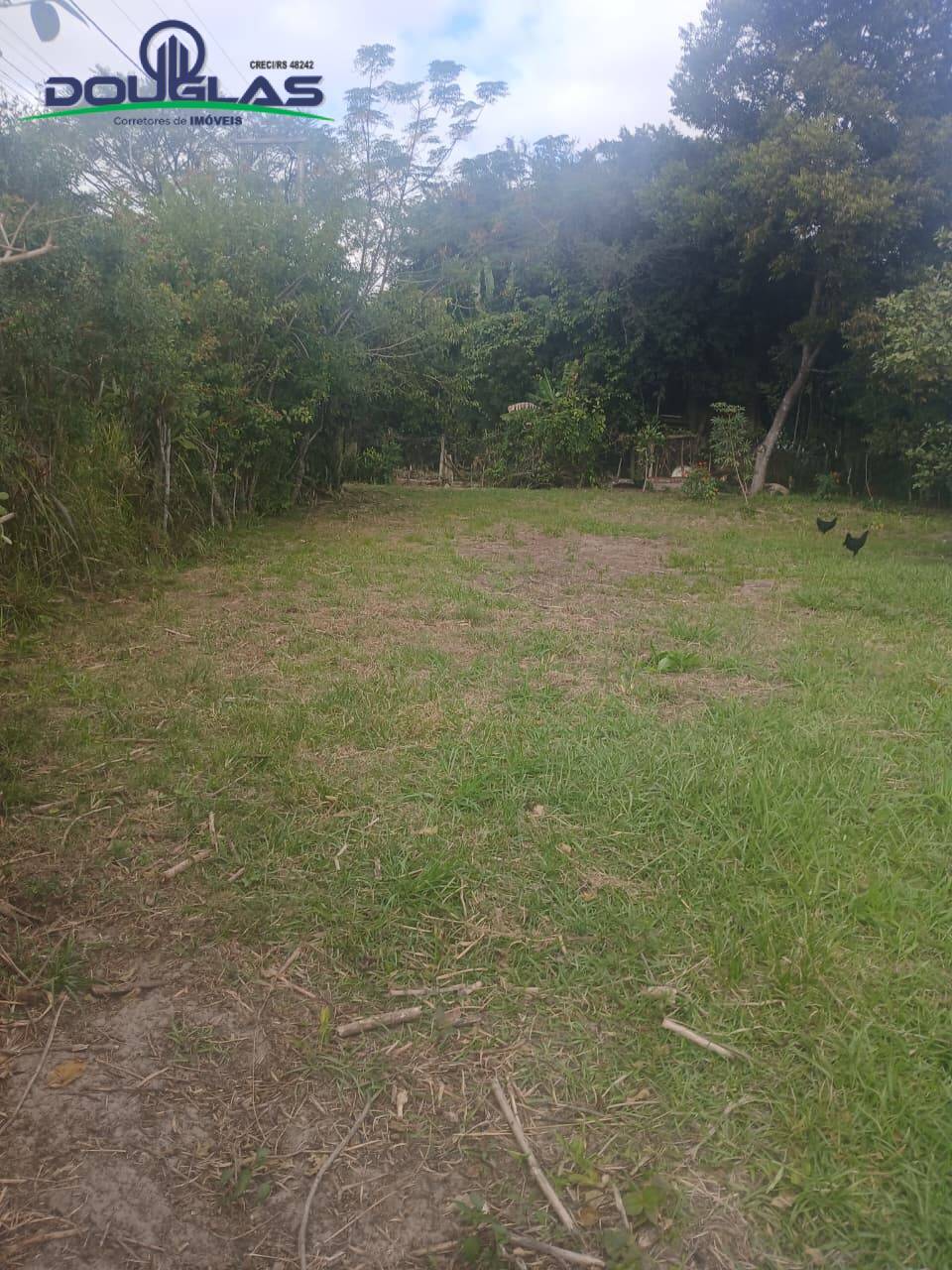Terreno - Foto 8