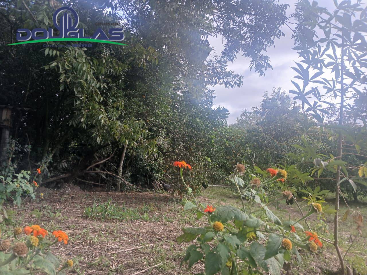 Terreno - Foto 10