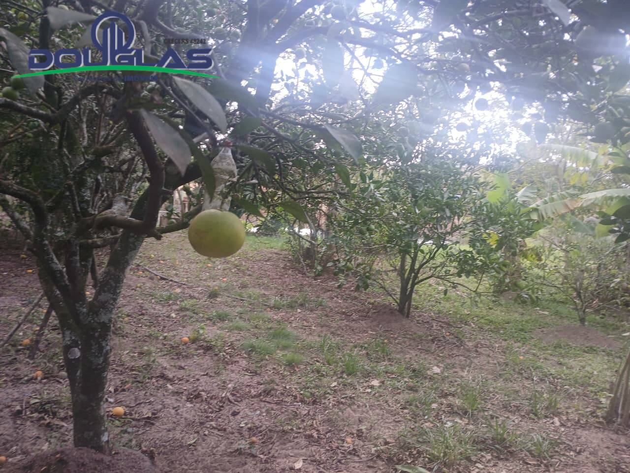 Terreno - Foto 14
