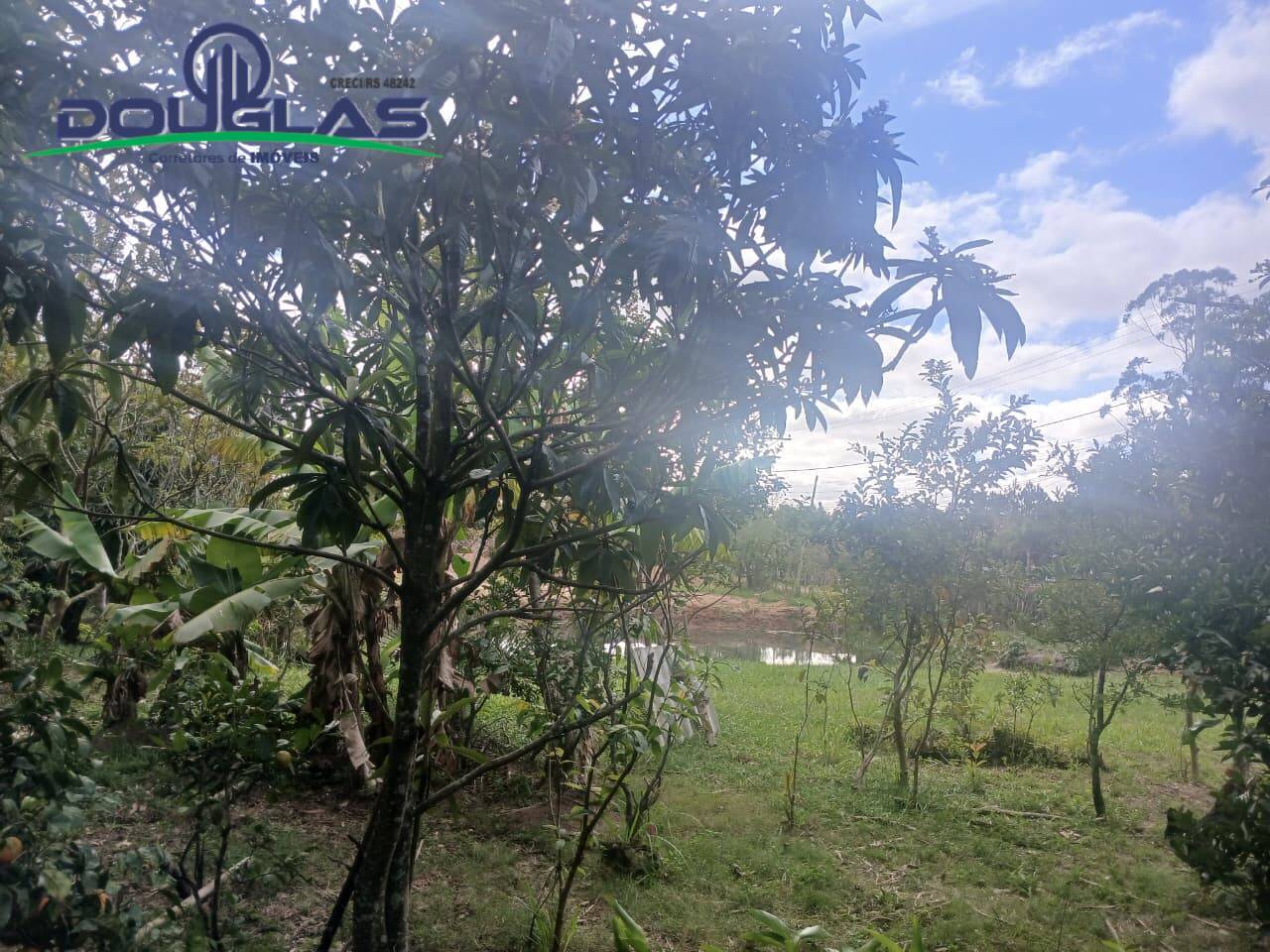 Terreno - Foto 15