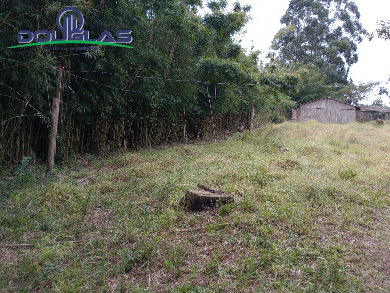 Terreno, 5000 m² - Foto 8