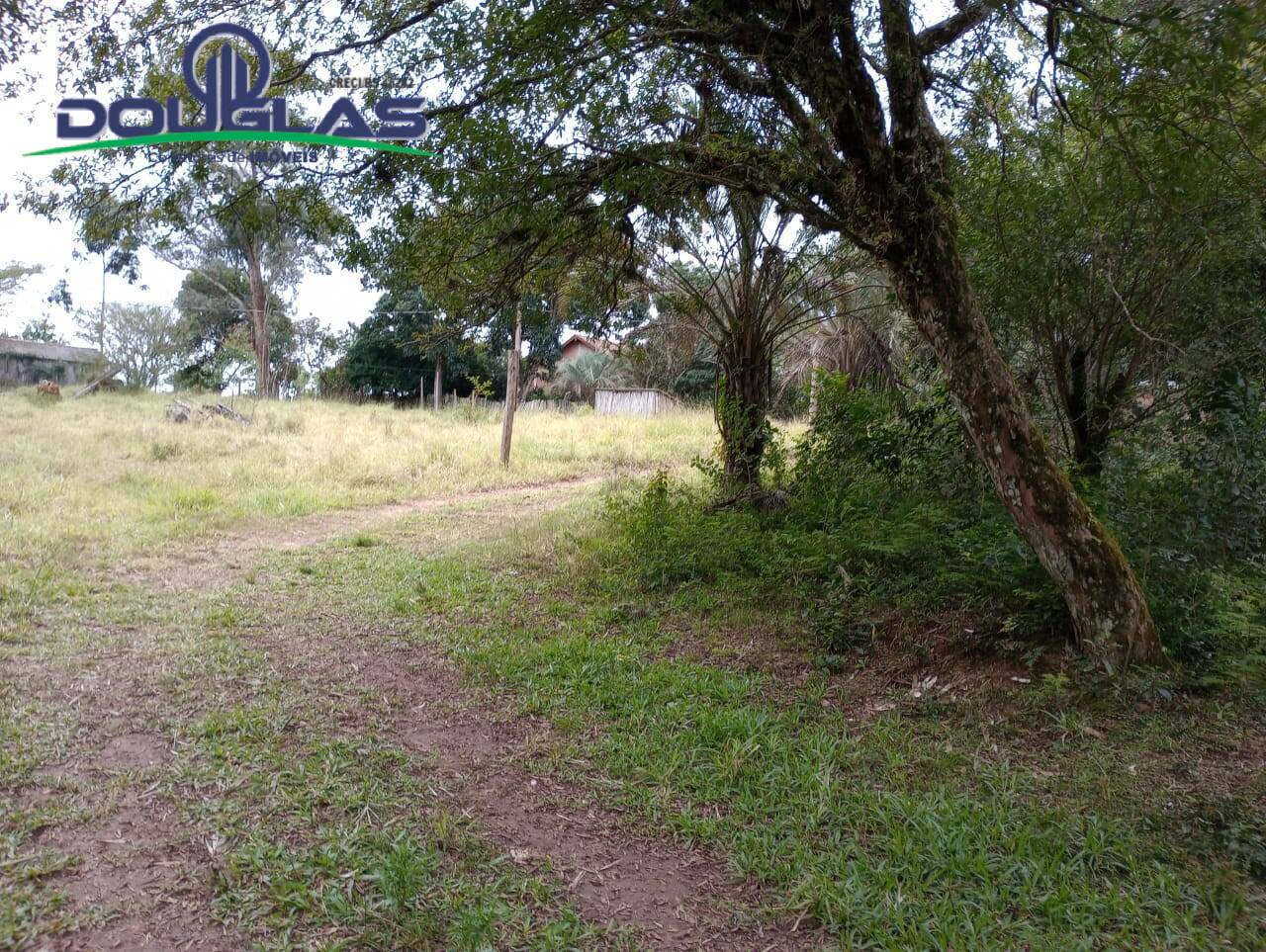 Terreno, 5000 m² - Foto 9