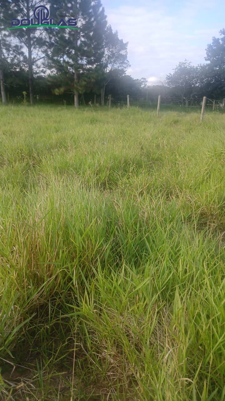 Terreno, 360 m² - Foto 1