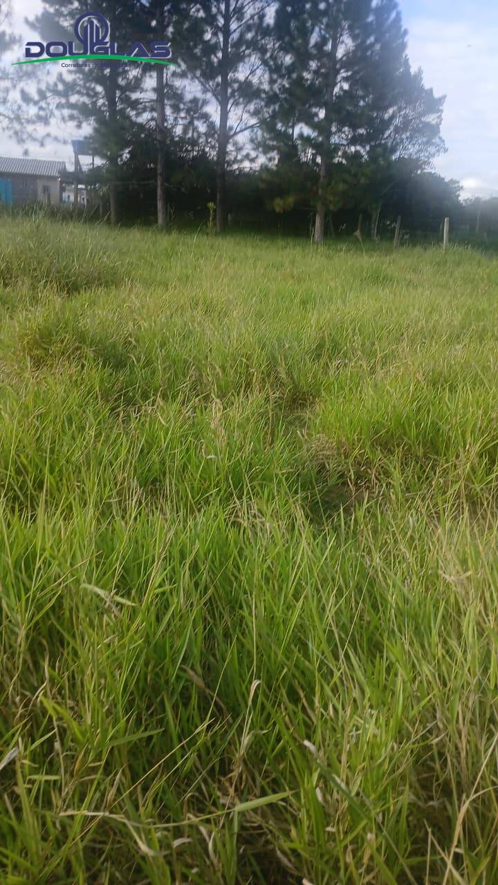 Terreno, 360 m² - Foto 2