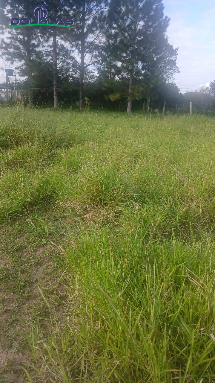 Terreno, 360 m² - Foto 3