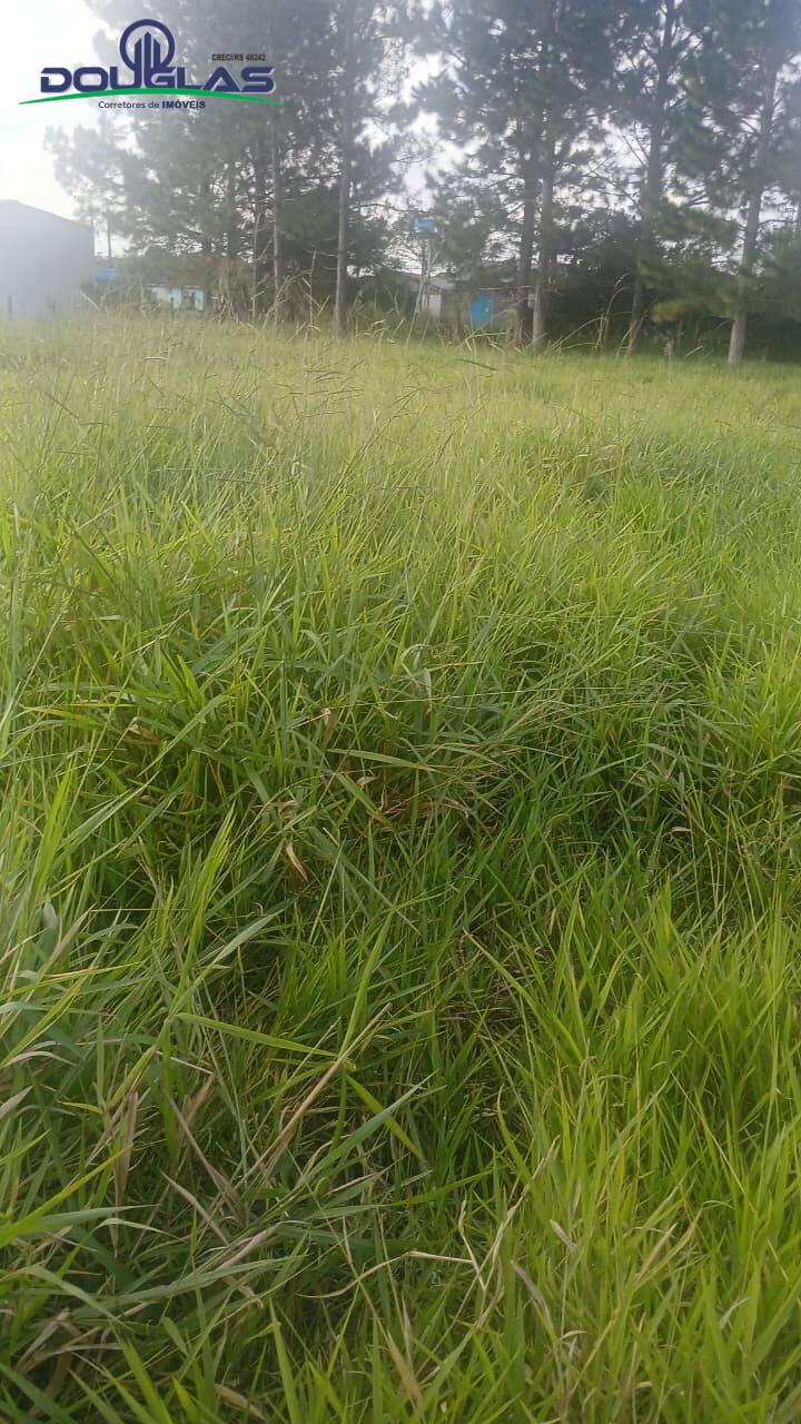 Terreno, 360 m² - Foto 5