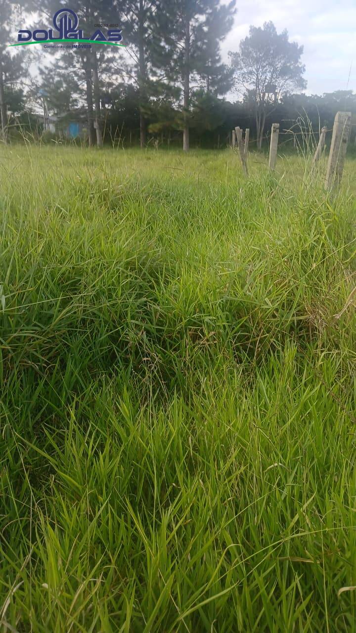 Terreno, 360 m² - Foto 4