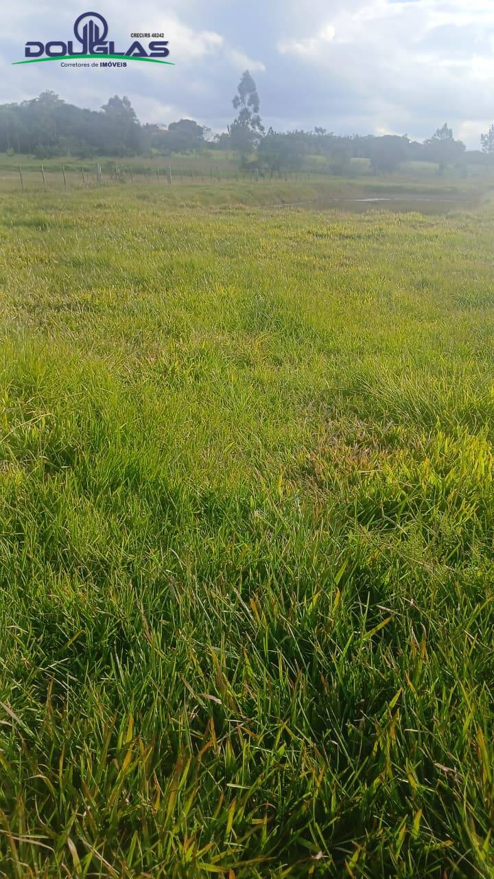 Terreno, 4500 m² - Foto 4