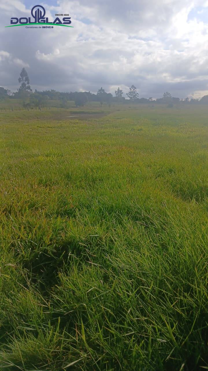 Terreno, 4500 m² - Foto 3