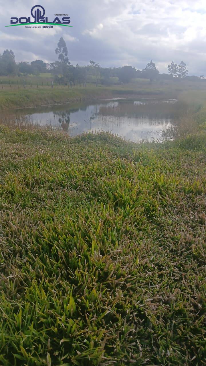Terreno, 4500 m² - Foto 6