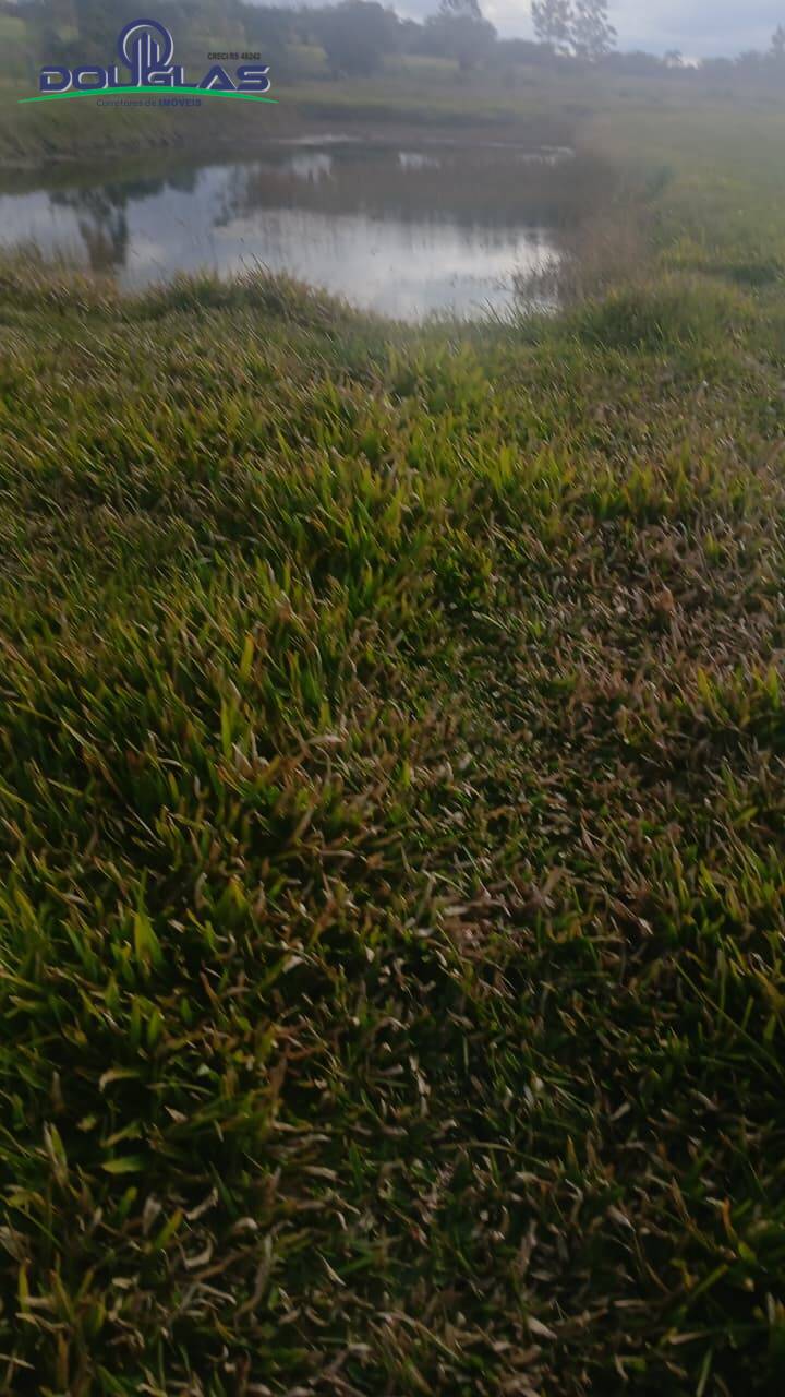 Terreno, 4500 m² - Foto 7