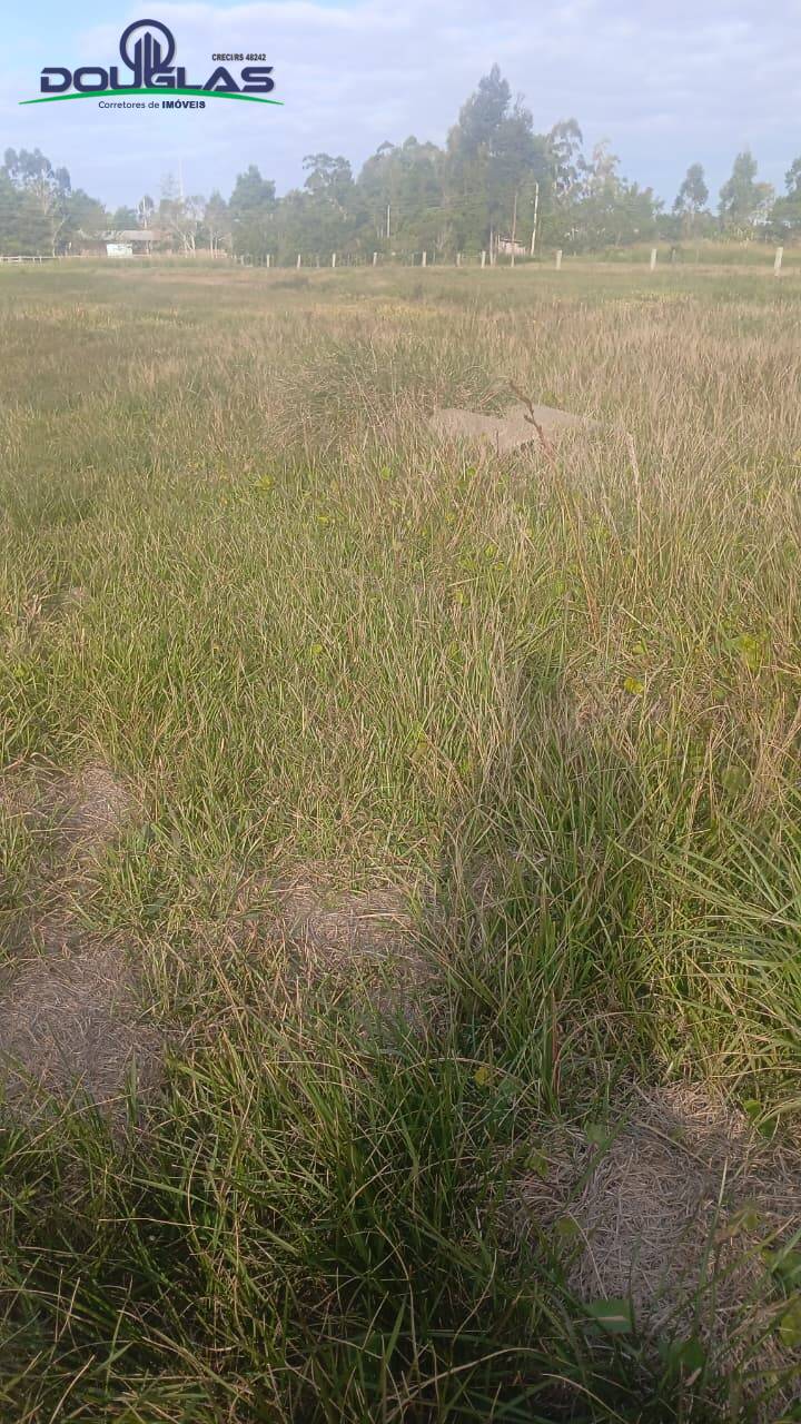 Terreno, 4500 m² - Foto 10