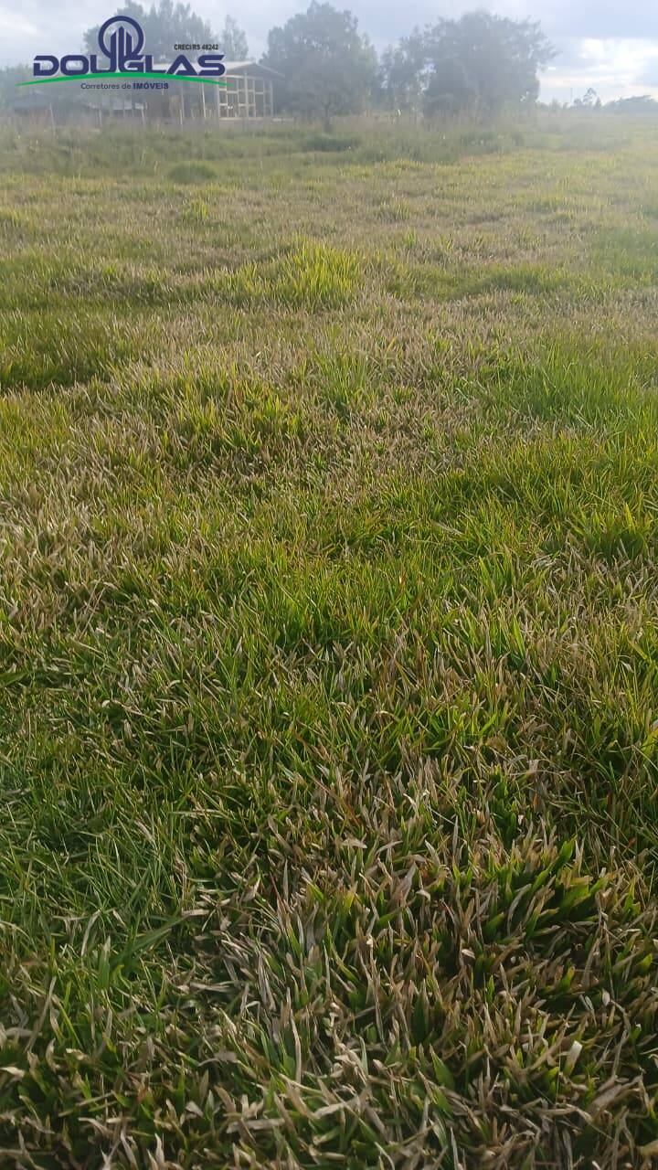 Terreno, 3 hectares - Foto 1
