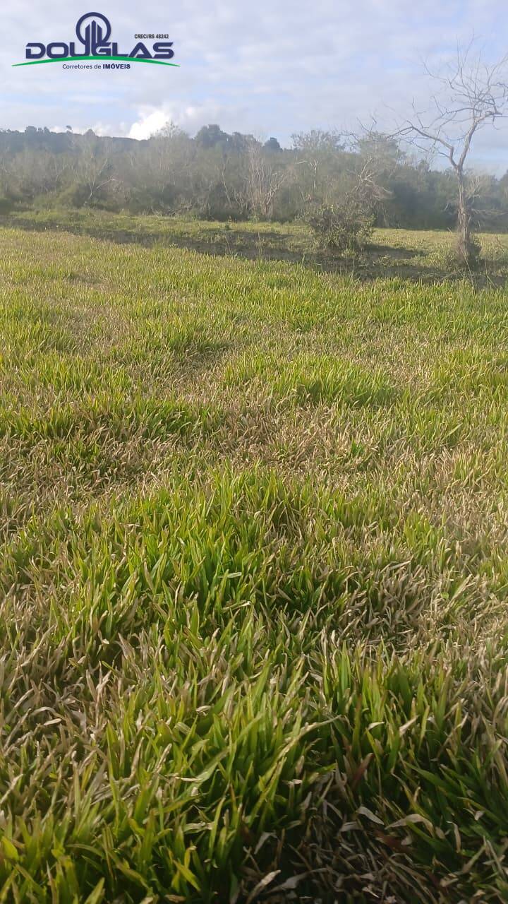 Terreno, 3 hectares - Foto 2