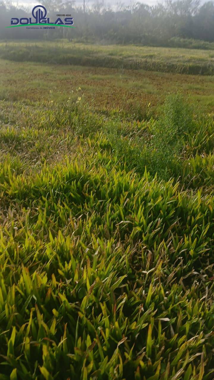 Terreno, 3 hectares - Foto 3