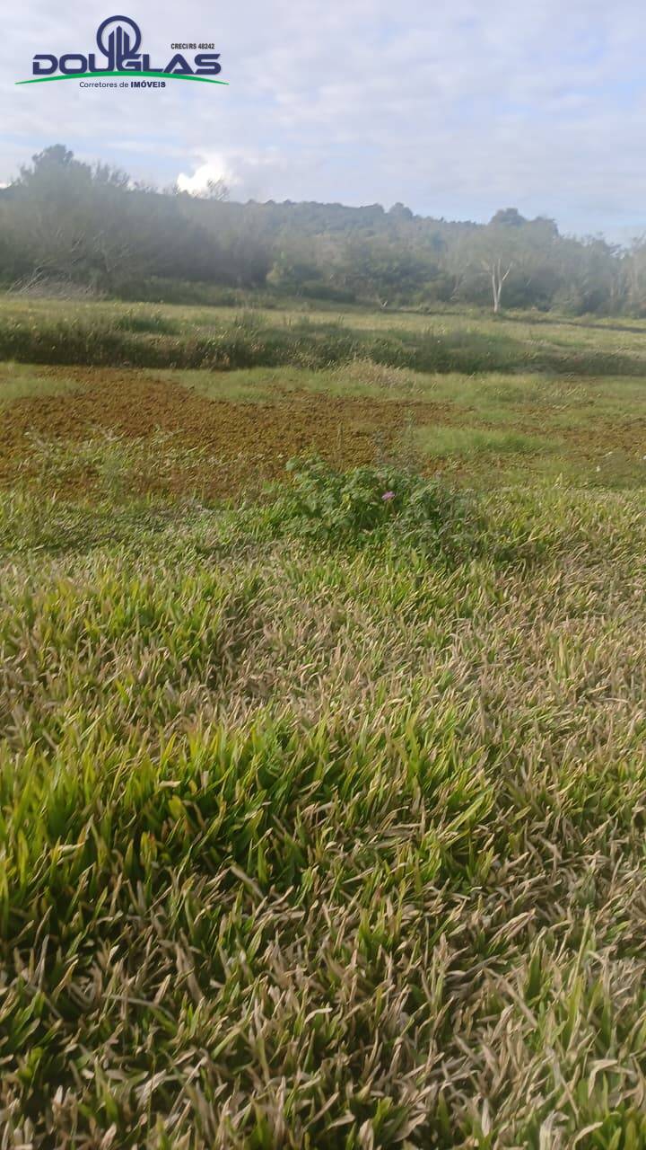 Terreno, 3 hectares - Foto 5